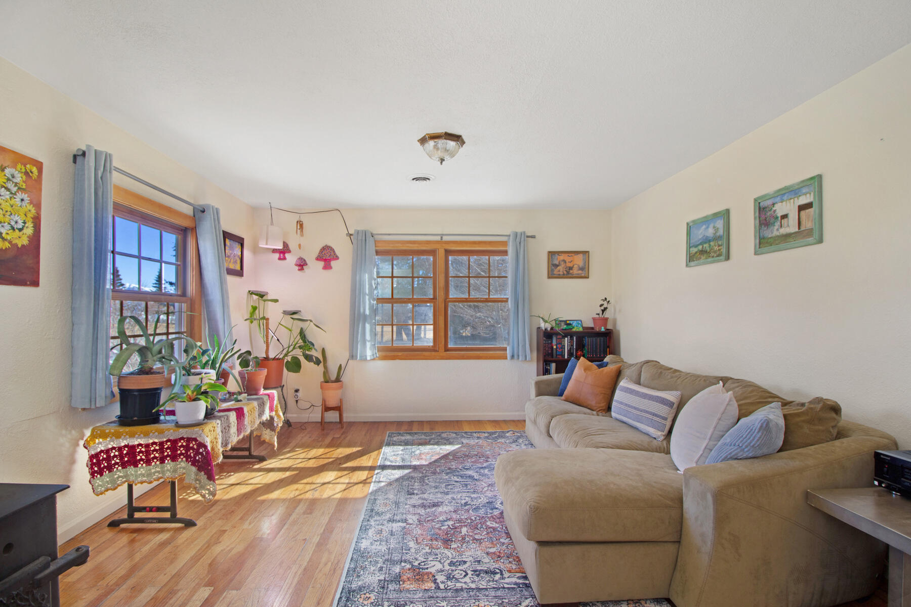 402 Custer Street Mackay, ID 83251 - Photo 5 of 31 Living room 2