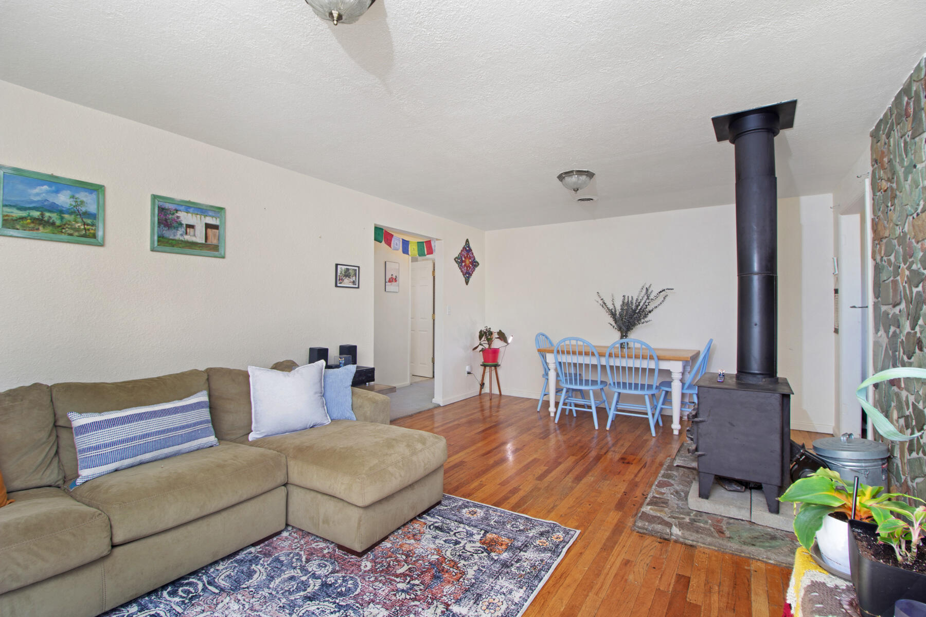 402 Custer Street Mackay, ID 83251 - Photo 7 of 31 Living room 4
