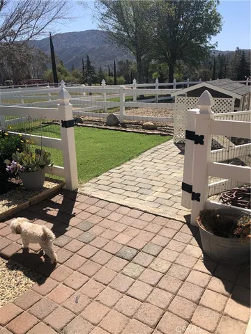 a view of a backyard