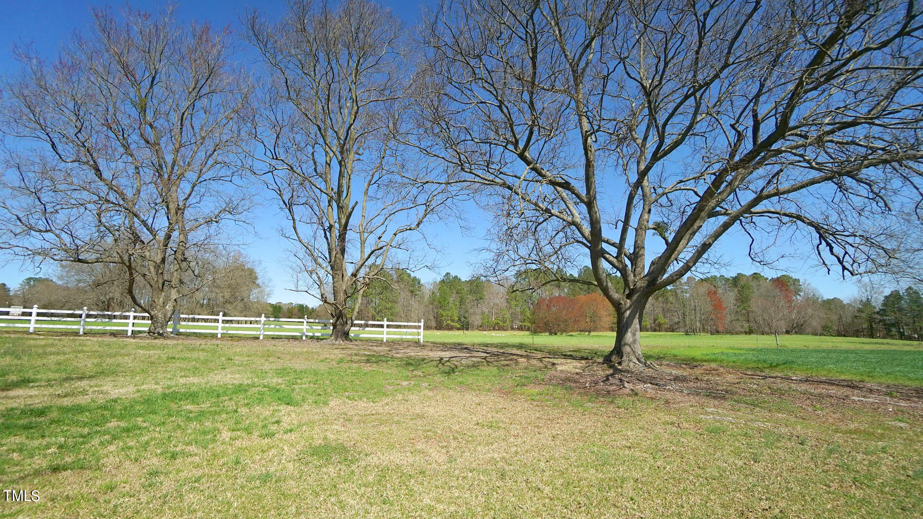 229 Cheves Road Bunn, NC 27508 - Photo 24 of 30 DSC09746