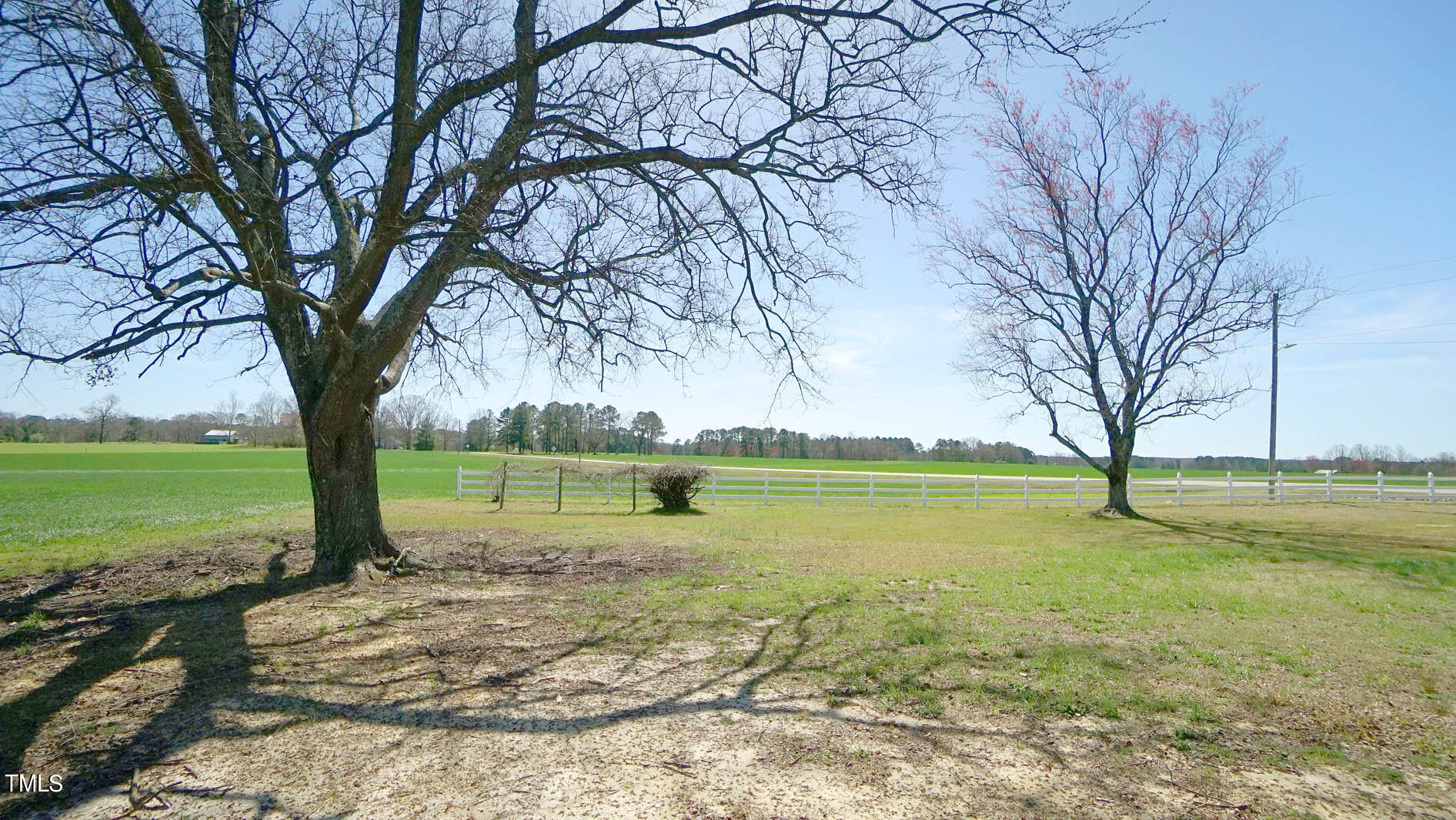 229 Cheves Road Bunn, NC 27508 - Photo 27 of 30 DSC09751