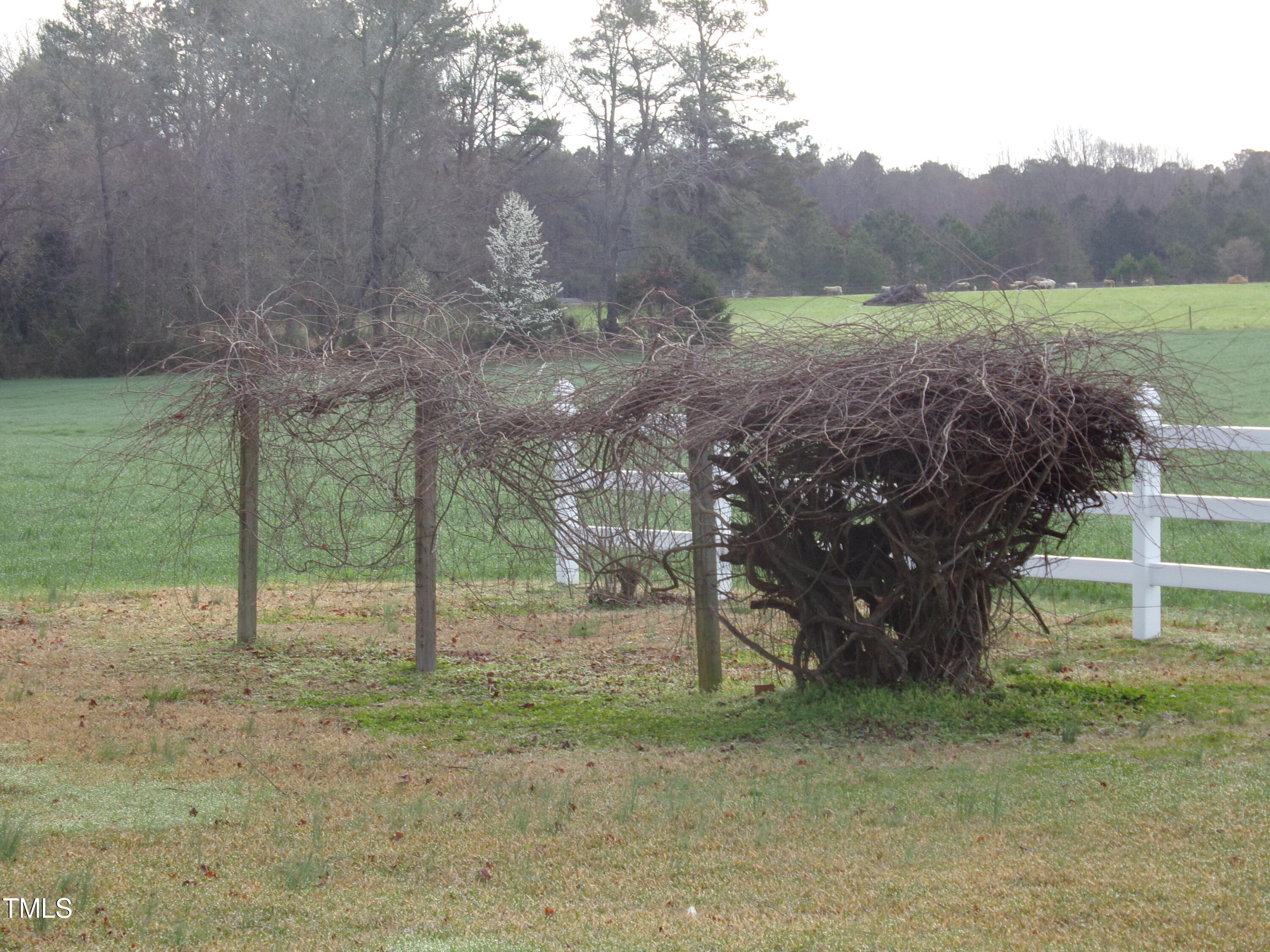 229 Cheves Road Bunn, NC 27508 - Photo 29 of 30 100_0602