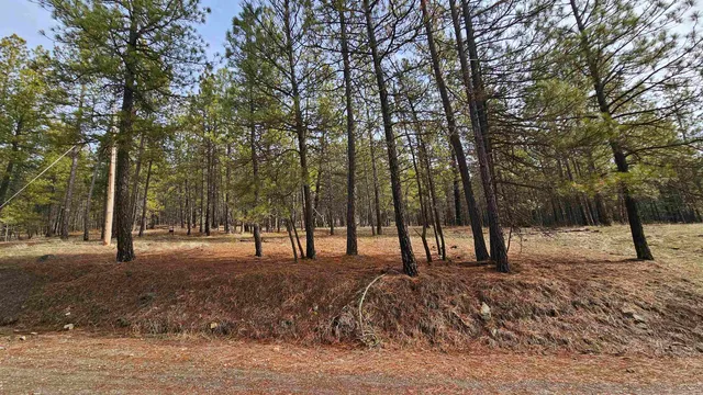 $195,000 | Nna South Serenity Lane, Valleyford, WA 99036