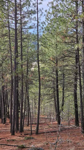 $195,000 | Nna South Serenity Lane, Valleyford, WA 99036