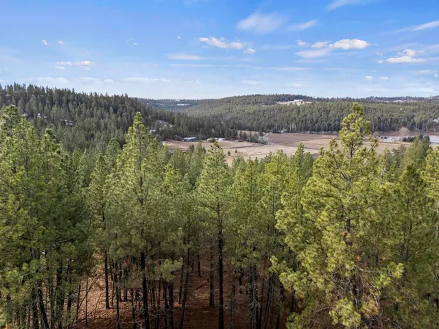 $195,000 | Nna South Serenity Lane, Valleyford, WA 99036