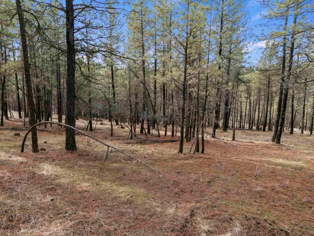 $195,000 | Nna South Serenity Lane, Valleyford, WA 99036