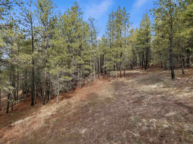 $195,000 | Nna South Serenity Lane, Valleyford, WA 99036