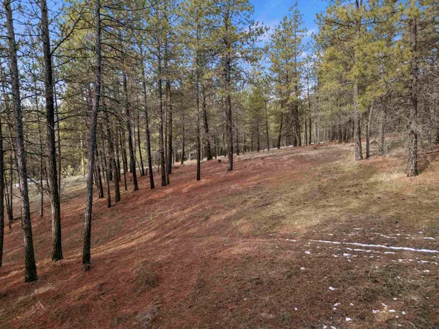 $195,000 | Nna South Serenity Lane, Valleyford, WA 99036