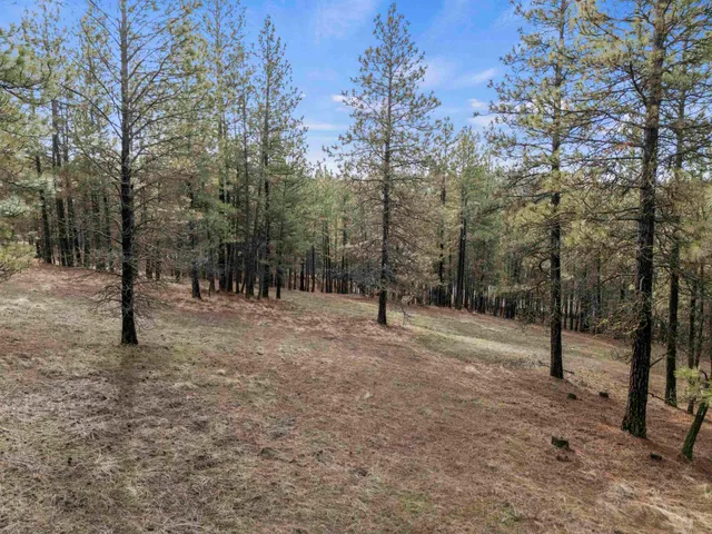 $195,000 | Nna South Serenity Lane, Valleyford, WA 99036