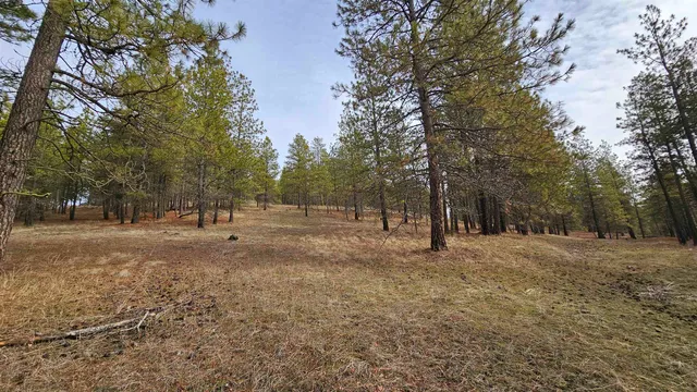 $195,000 | Nna South Serenity Lane, Valleyford, WA 99036