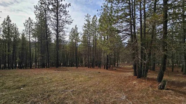 $195,000 | Nna South Serenity Lane, Valleyford, WA 99036