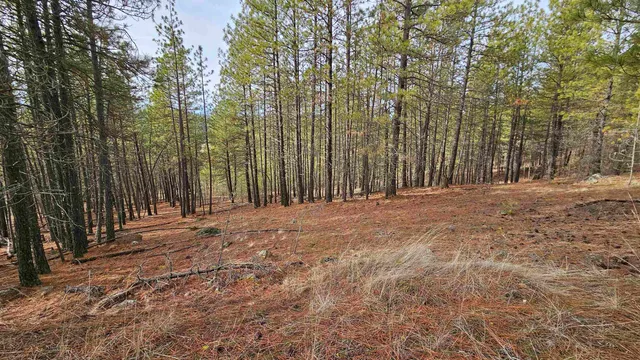 $195,000 | Nna South Serenity Lane, Valleyford, WA 99036