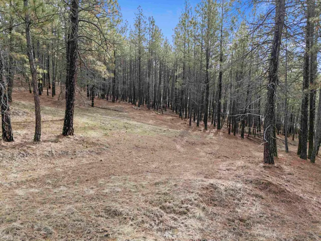 $195,000 | Nna South Serenity Lane, Valleyford, WA 99036