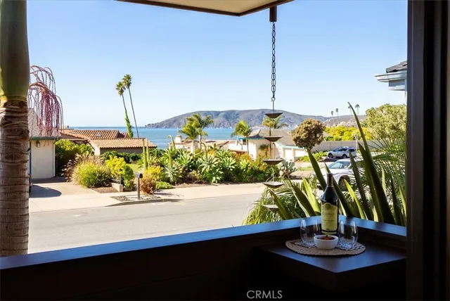 a living room filled with furniture and a potted plant