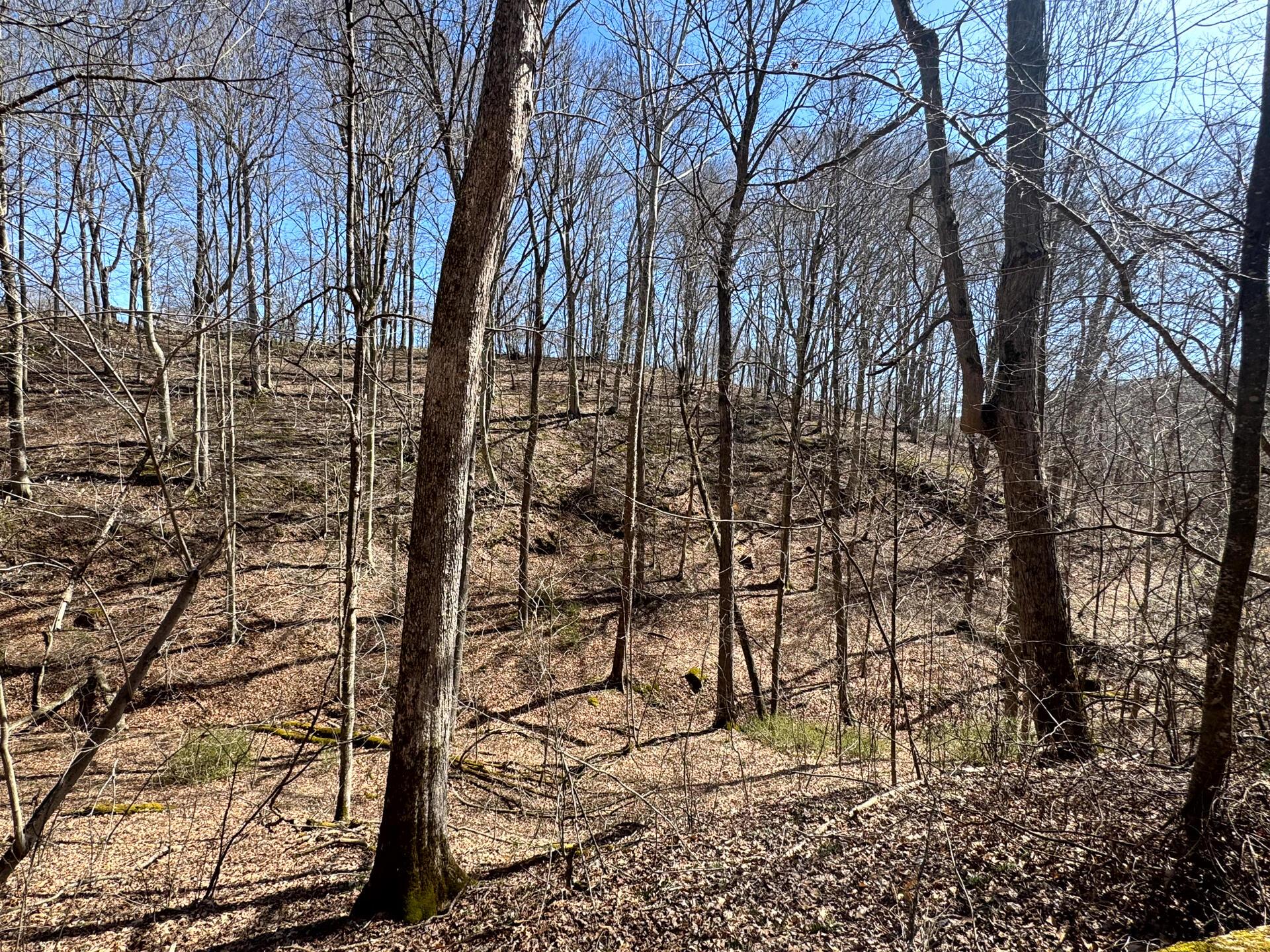 0 Remely Road, Unit MILLSTONE CAVES TRACT 1) Cutler, OH 45724 - Photo 29 of 41 CT-30