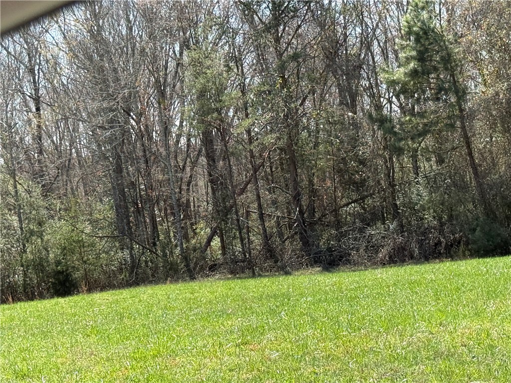 0 Holland Ford Road Pelzer, SC 29669 - Photo 3 of 35