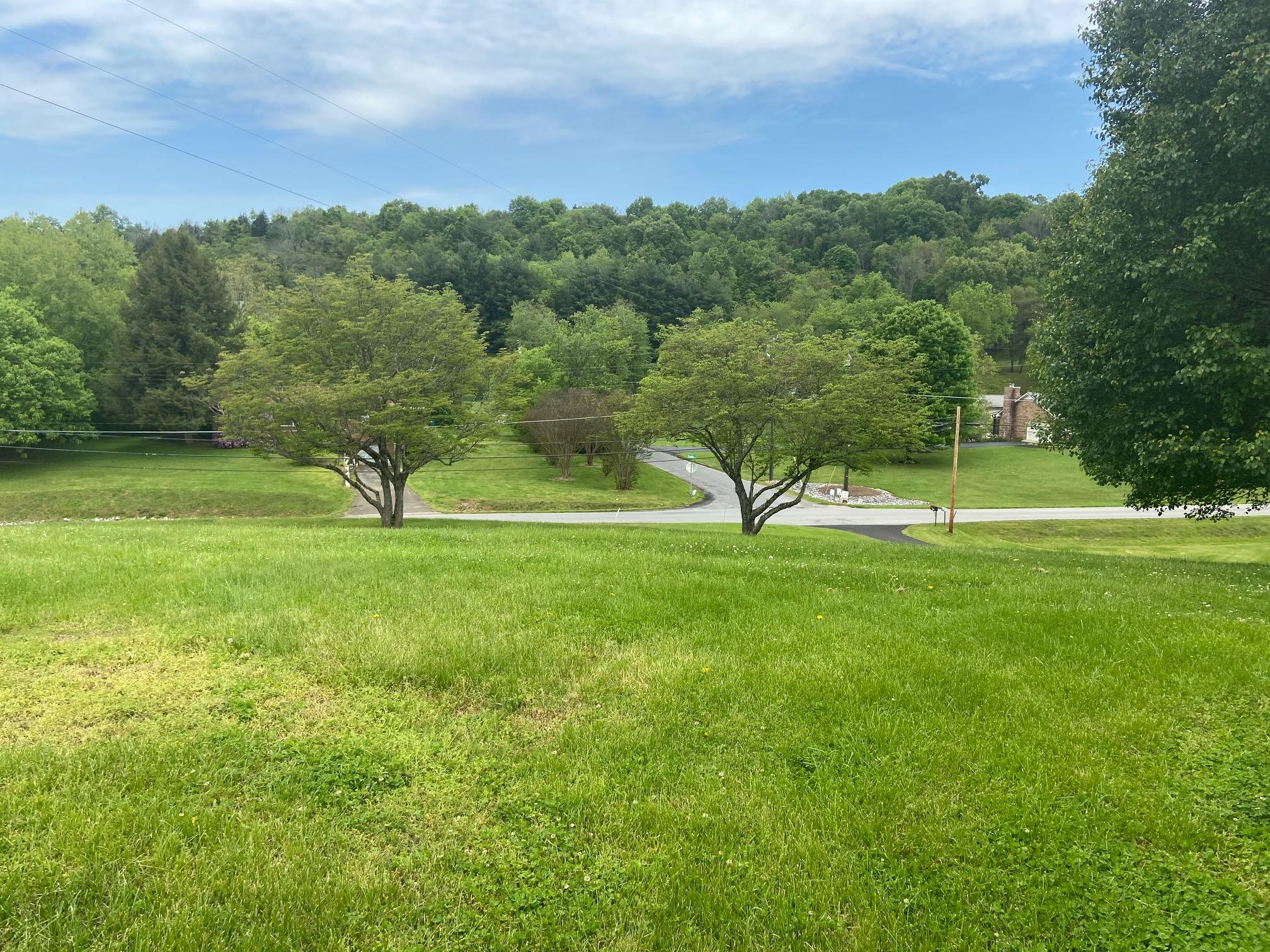 1387 Dunlap Road Kingsport, TN 37663 - Photo 4 of 35 d7