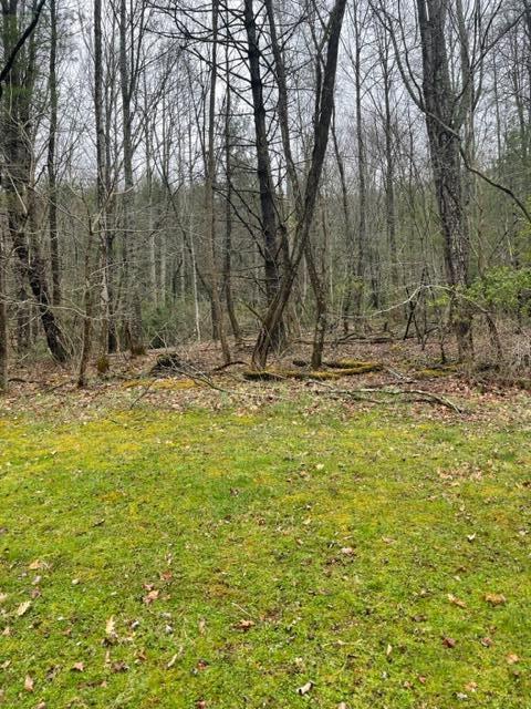 350 Odom Branch Road Erwin, TN 37650 - Photo 3 of 42 IMG_2729 - Copy