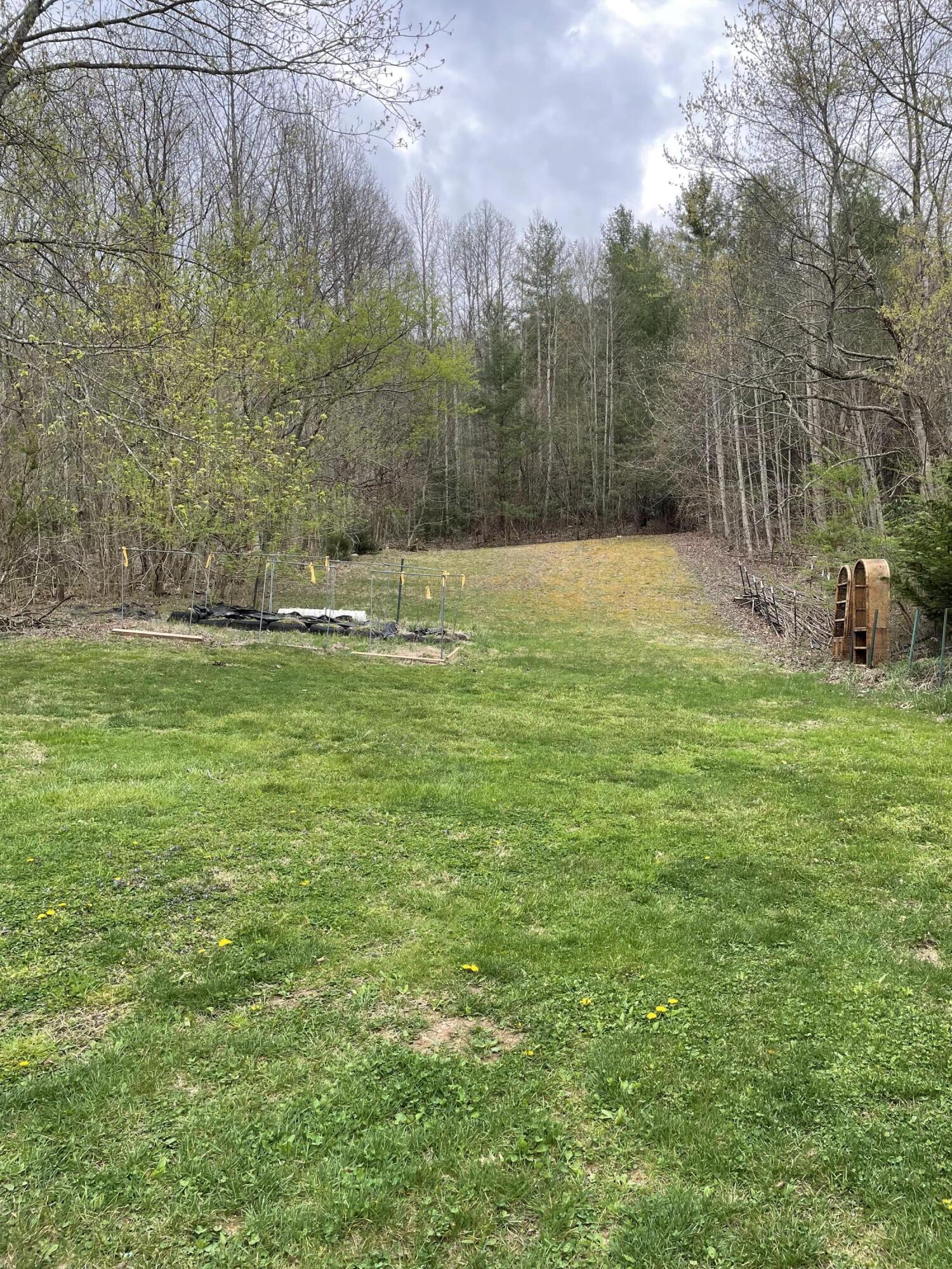 350 Odom Branch Road Erwin, TN 37650 - Photo 37 of 42 IMG_0110