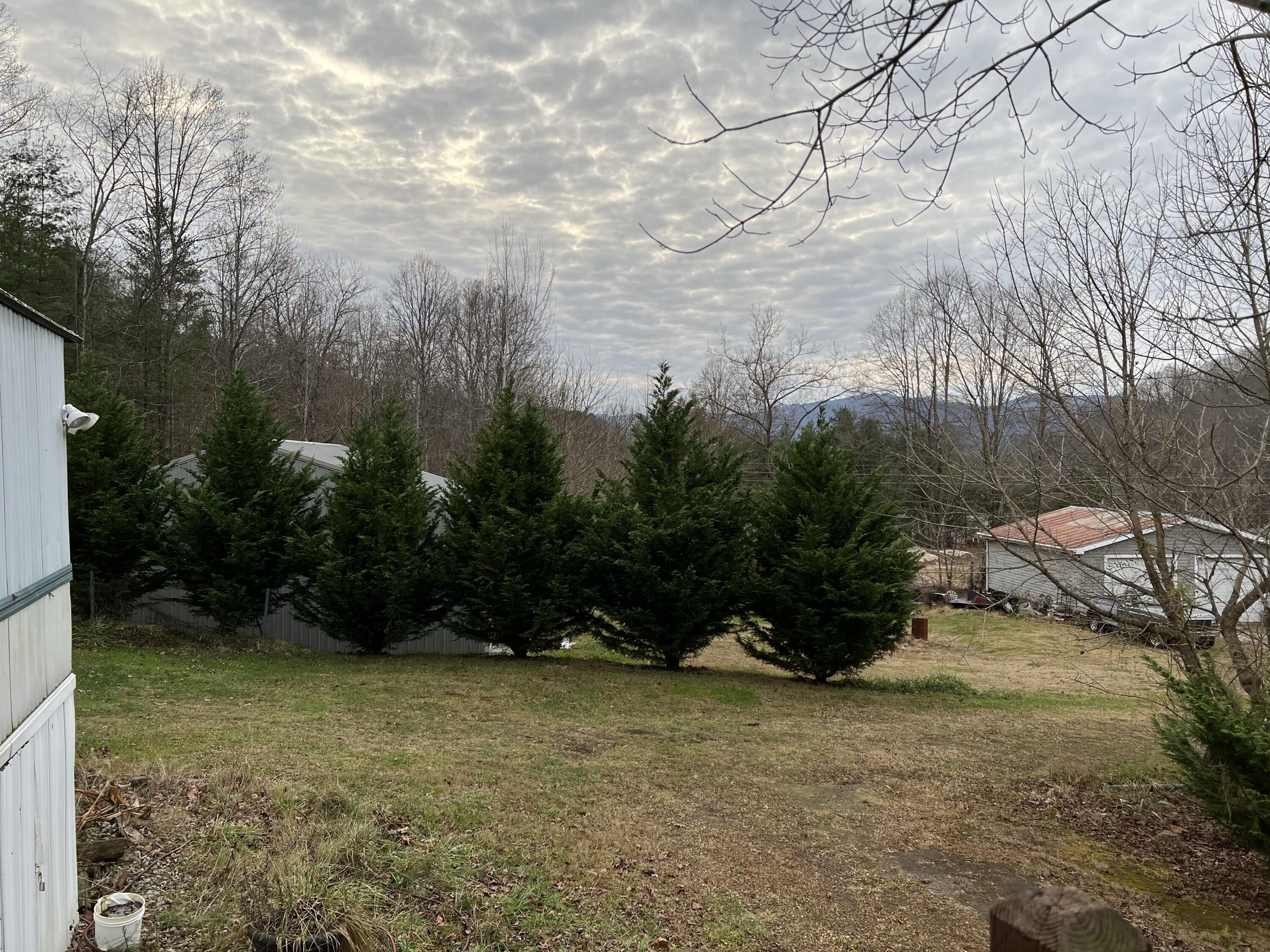350 Odom Branch Road Erwin, TN 37650 - Photo 40 of 42 IMG_5592