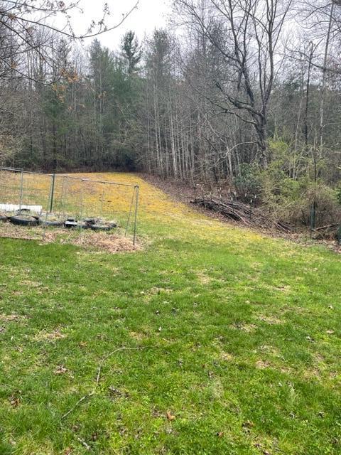 350 Odom Branch Road Erwin, TN 37650 - Photo 7 of 42 IMG_2737 - Copy