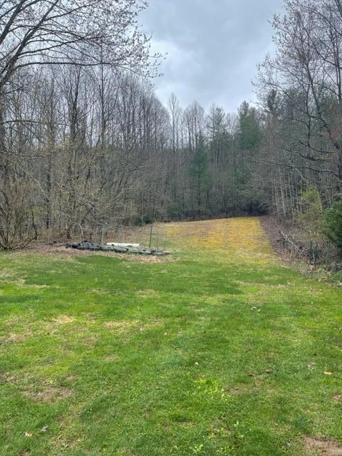 350 Odom Branch Road Erwin, TN 37650 - Photo 9 of 42 IMG_2724