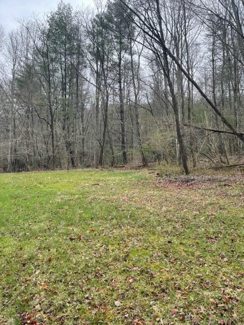 350 Odom Branch Road Erwin, TN 37650 - Photo 10 of 42 IMG_2728