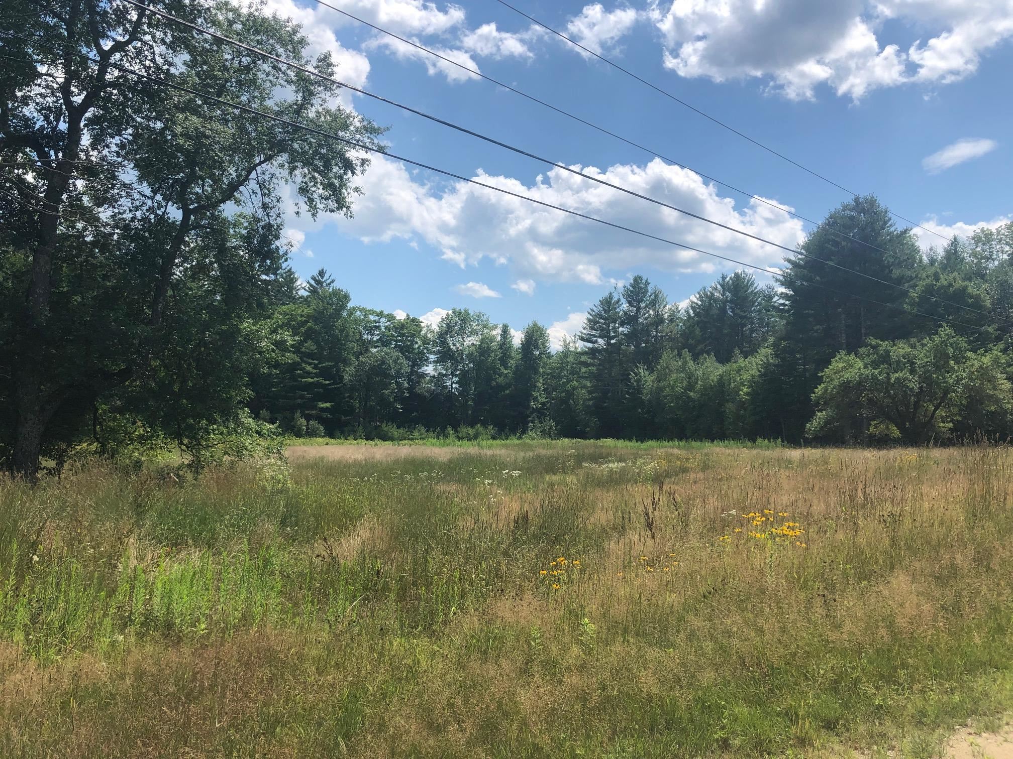 Blake Mountain Road, Unit C Thornton, NH 03285 - Photo 3 of 3