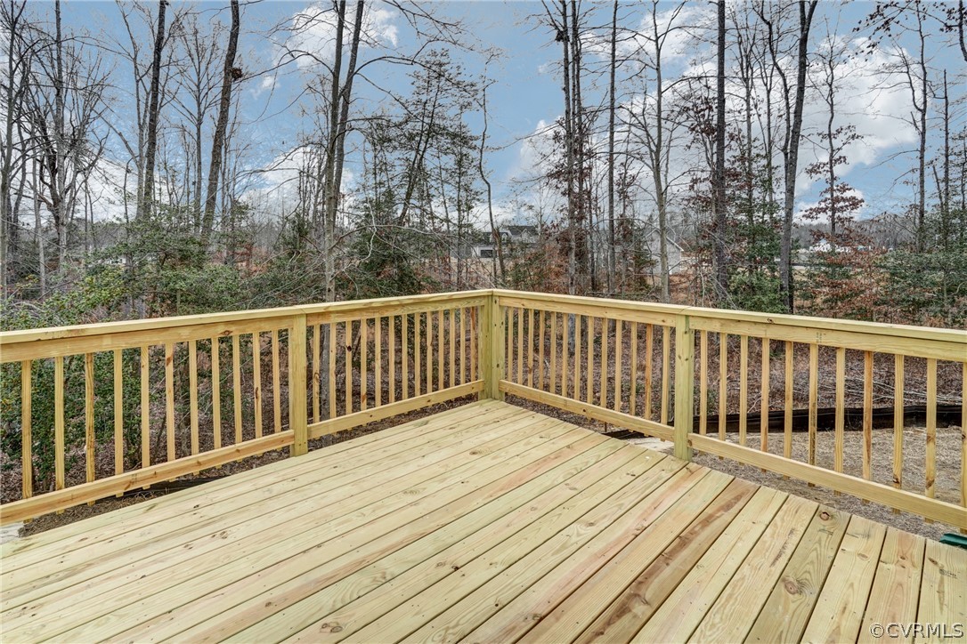 202 Edwin Circle Aylett, VA 23009 - Photo 46 of 50 Gallery Image 46