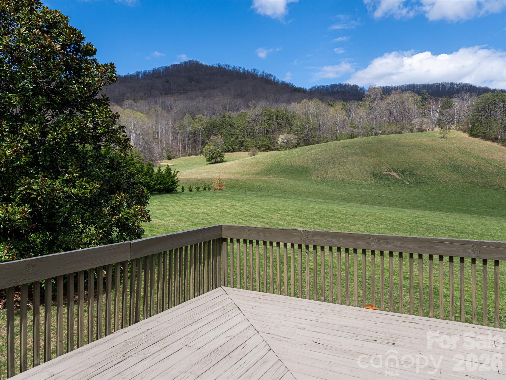 356 Curtis Creek Road Candler, NC 28715 - Photo 24 of 47