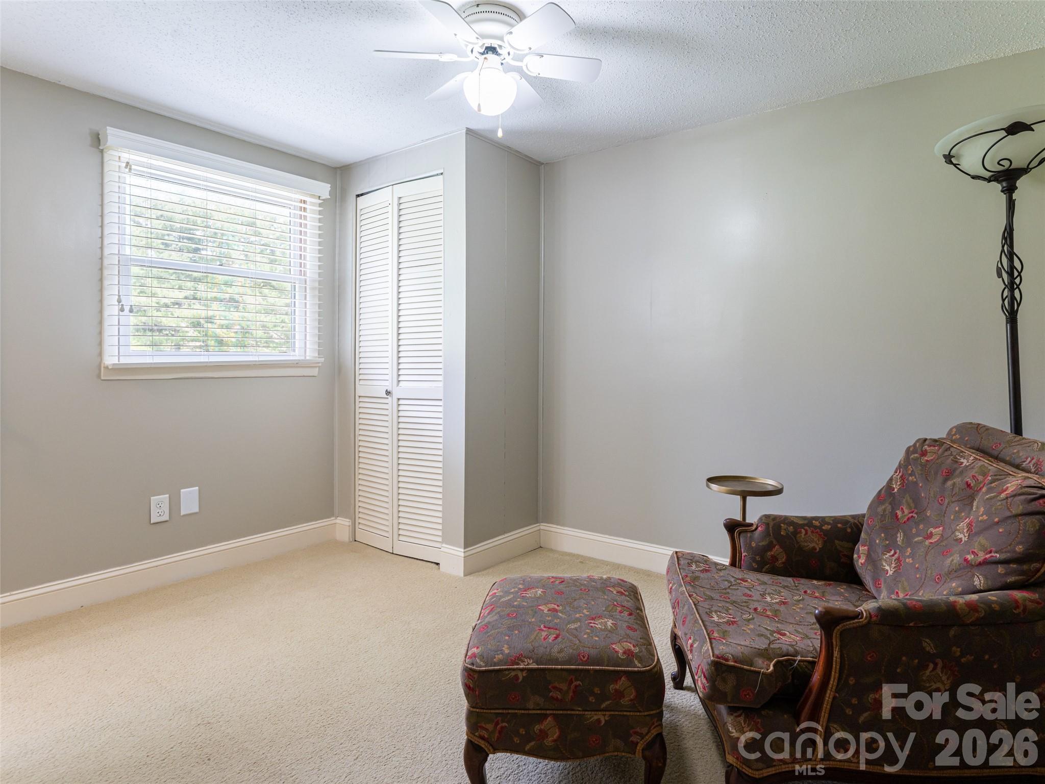 356 Curtis Creek Road Candler, NC 28715 - Photo 31 of 47