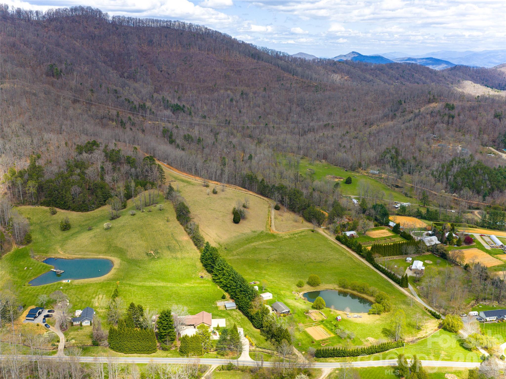 356 Curtis Creek Road Candler, NC 28715 - Photo 41 of 47