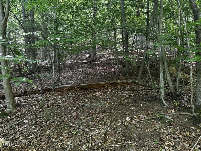 230 Ridge Road Weber City, VA 24290 - Photo 15 of 46 IMG_0599