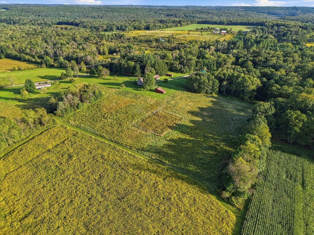 981 Hill City Road Cranberry, PA 16319 - Photo 44 of 49 Gallery Image 44