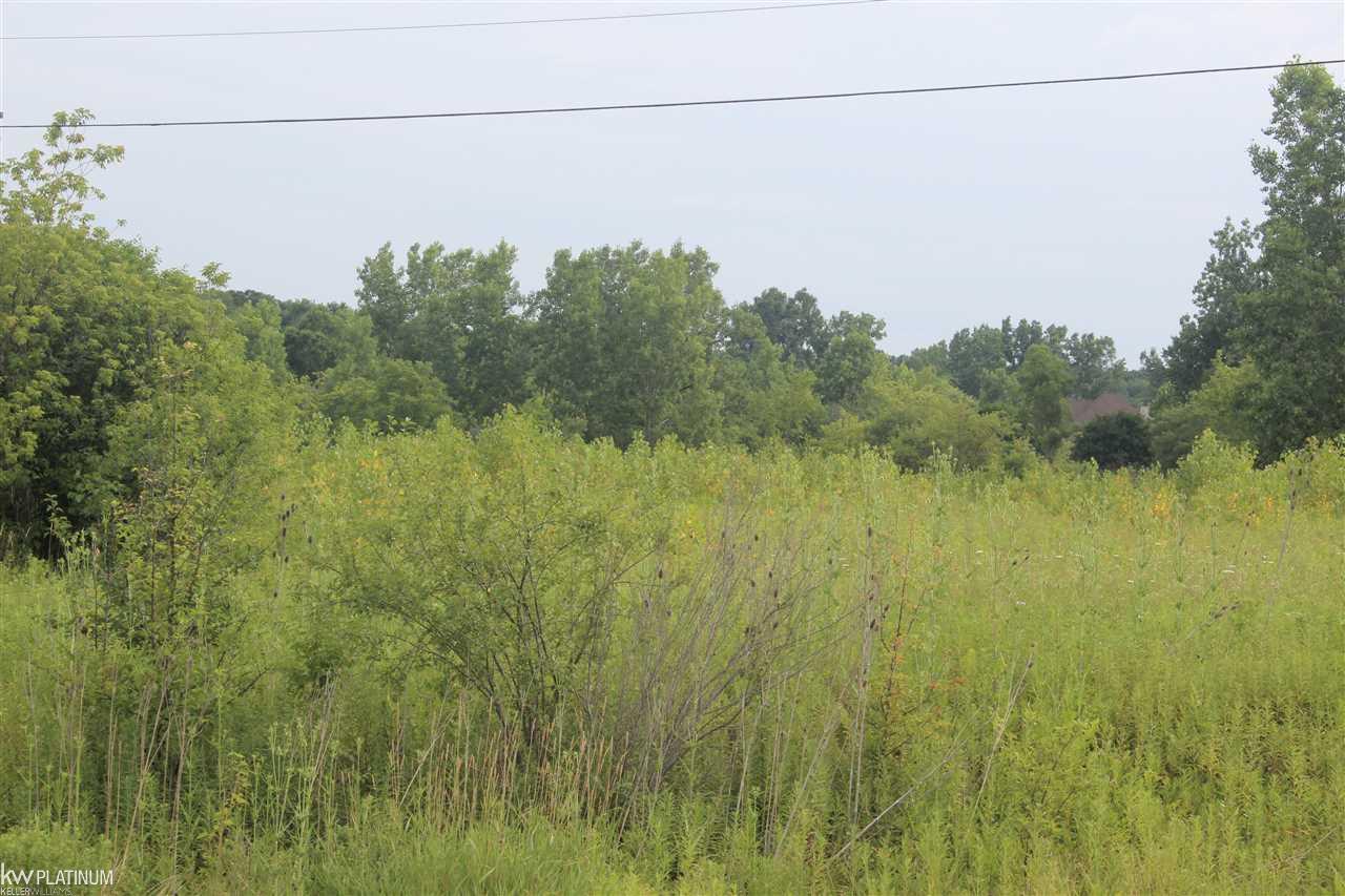 Nwc Nwc Ridge Canton, MI 48187 - Photo 1 of 28