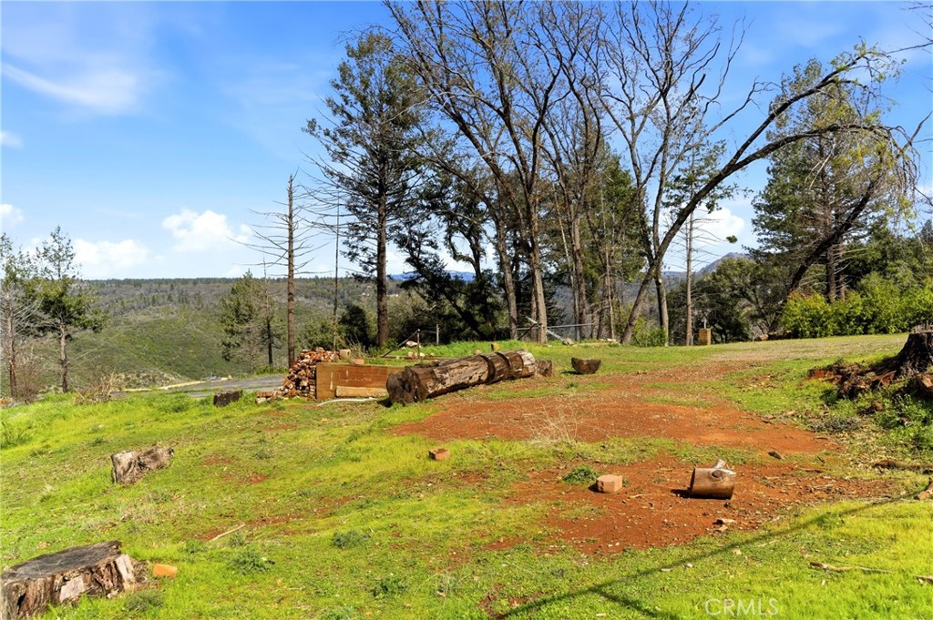 6473 Gregory Lane Paradise, CA 95969 - Photo 10 of 14 a view of yard with swimming pool and trees
