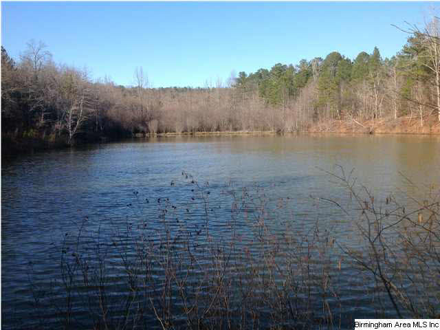 Peach Orchard Road, Unit 40 Ashland, AL 36251 - Photo 4 of 6 Gallery Image 4