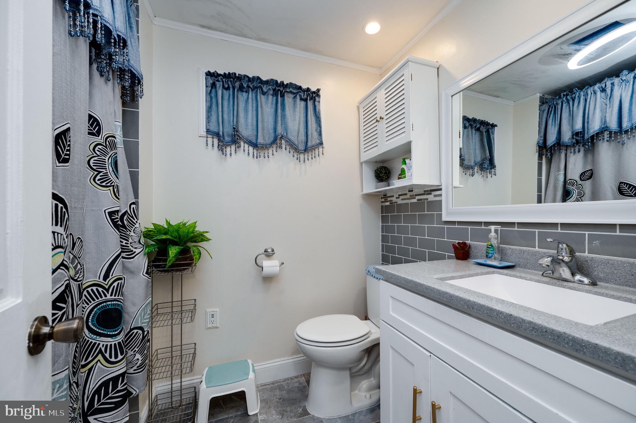 1005 Landover Drive Reading, PA 19605 - Photo 42 of 46 a bathroom with a sink a toilet and a mirror