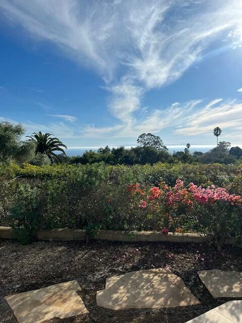 824 Alston Road Santa Barbara, CA 93108 - Photo 21 of 25 a view of a garden with a lot of flower plants and wooden floor