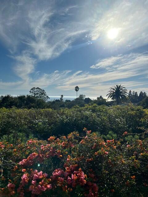 824 Alston Road Santa Barbara, CA 93108 - Photo 22 of 25