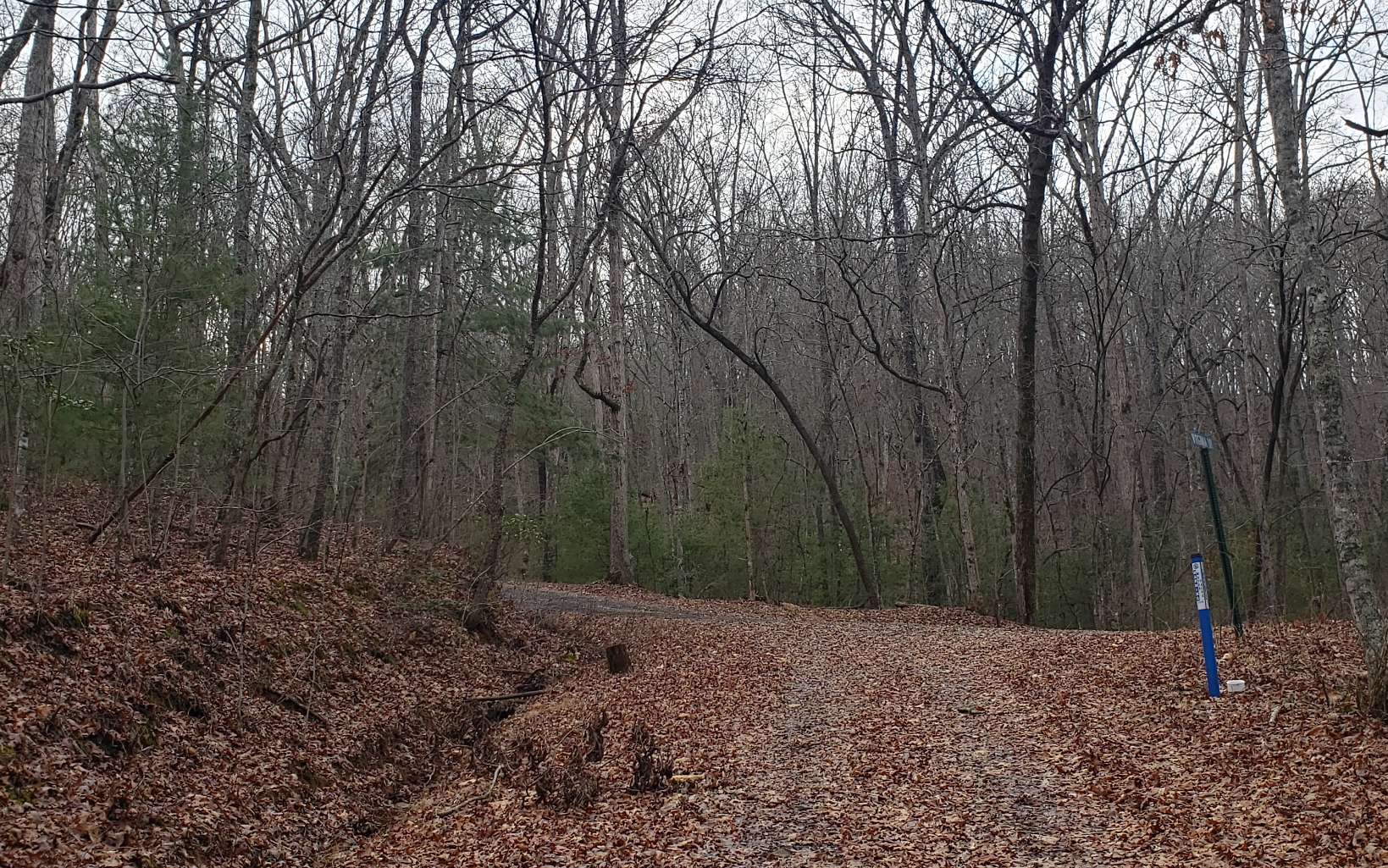 Lt83 Virginia Drive Blue Ridge, GA 30513 - Photo 2 of 12 Additional View