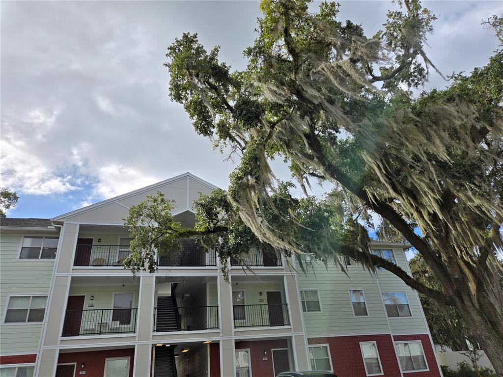 2360 Southwest Archer Road, Unit 604 Gainesville, FL 32608 - Photo 2 of 16 a tree in front of a white house