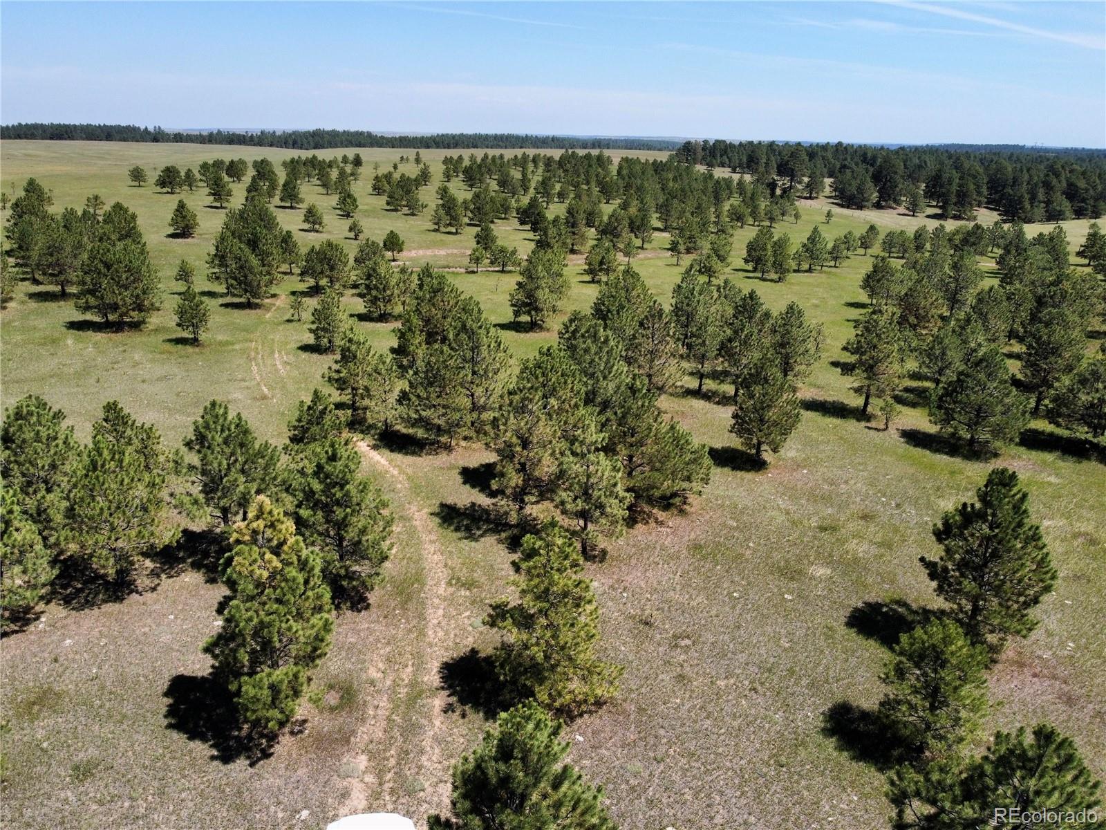 1 Walker Road Colorado Springs, CO 80908 - Photo 1 of 13