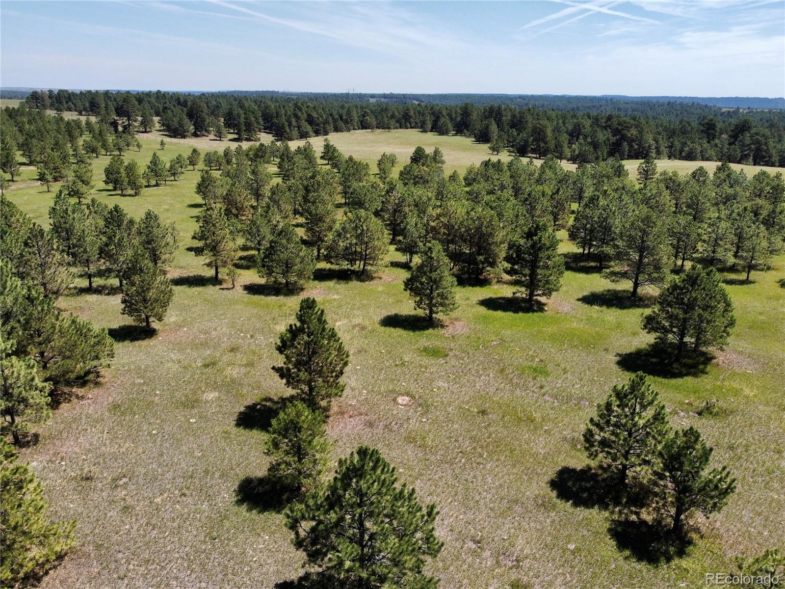 1 Walker Road Colorado Springs, CO 80908 - Photo 12 of 13