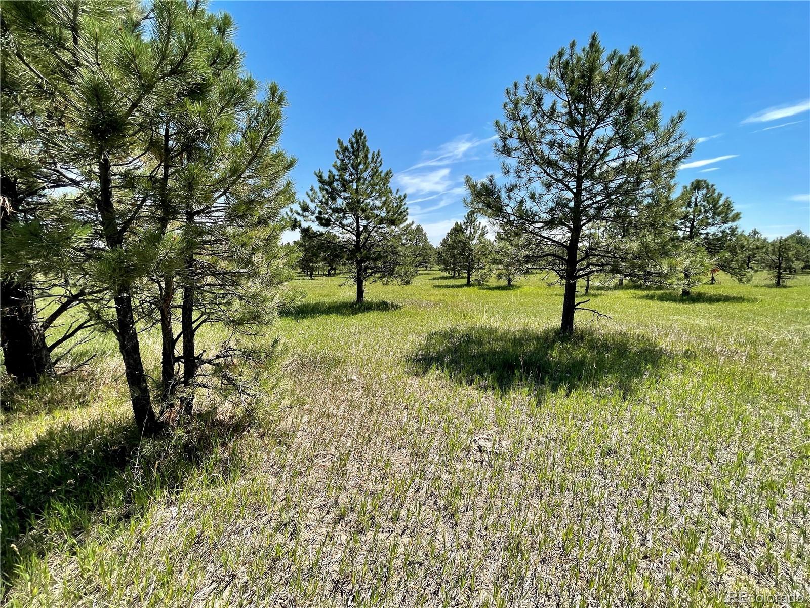1 Walker Road Colorado Springs, CO 80908 - Photo 2 of 13