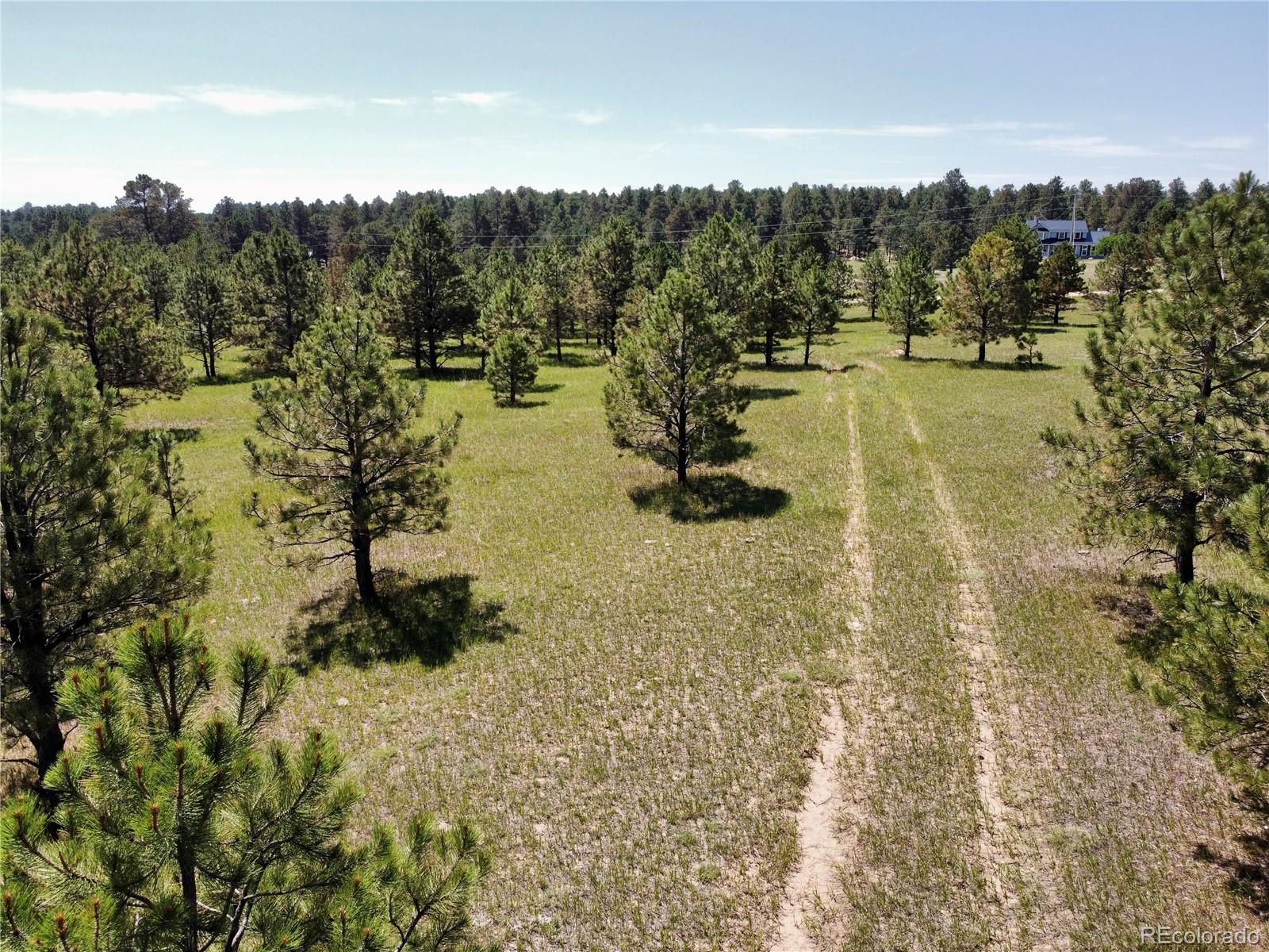 1 Walker Road Colorado Springs, CO 80908 - Photo 3 of 13