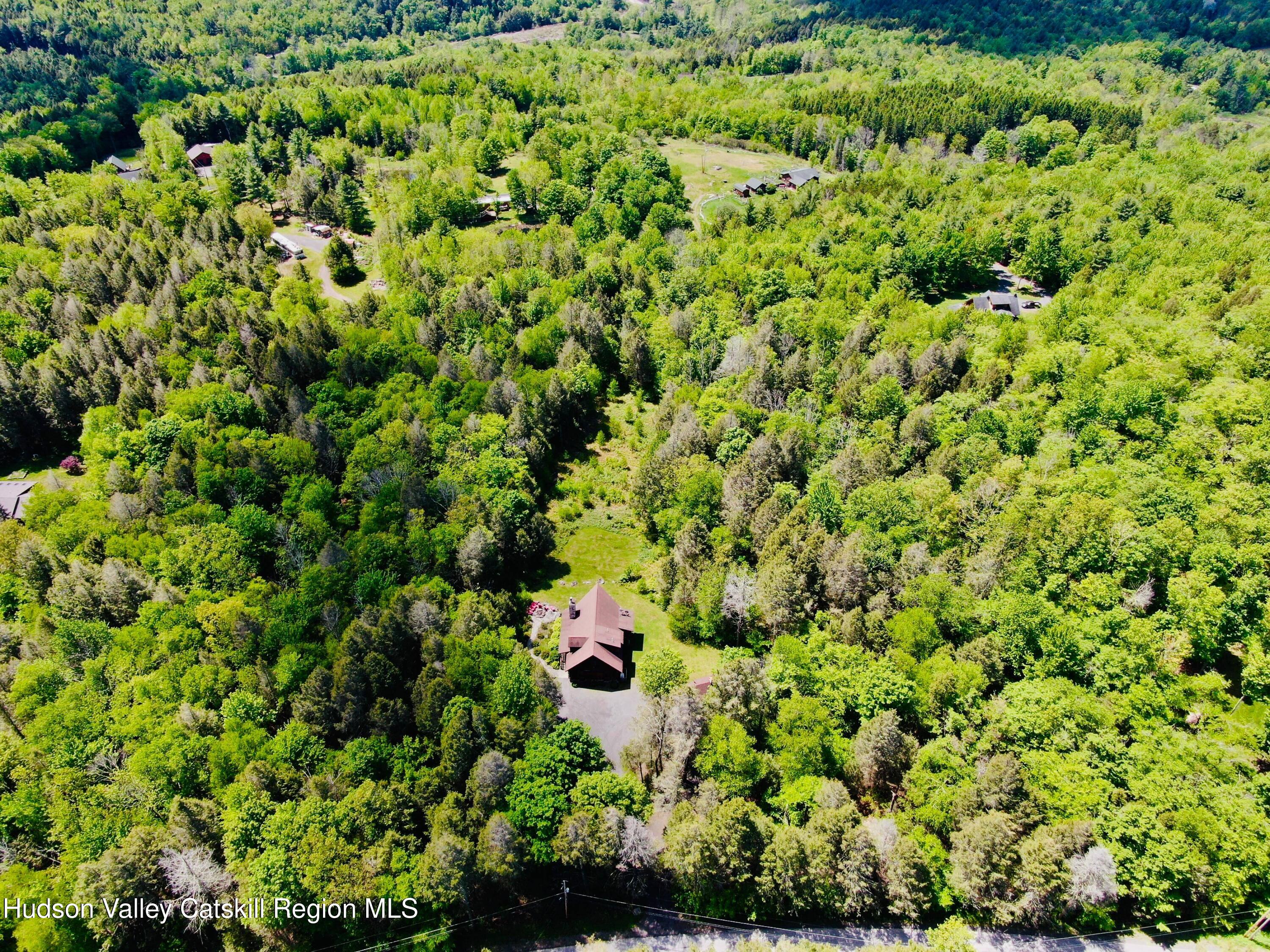 101 Carl Road Jewett, NY 12444 - Photo 45 of 45 62