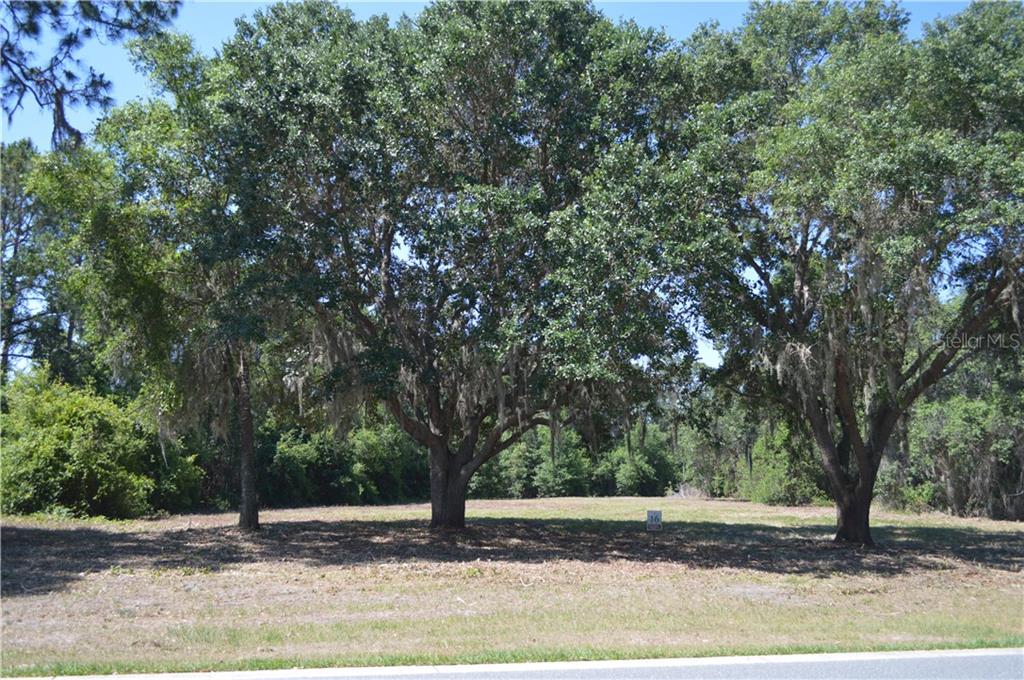 414 Long And Winding Road Groveland, FL 34737 - Photo 1 of 1 Gallery Image 1