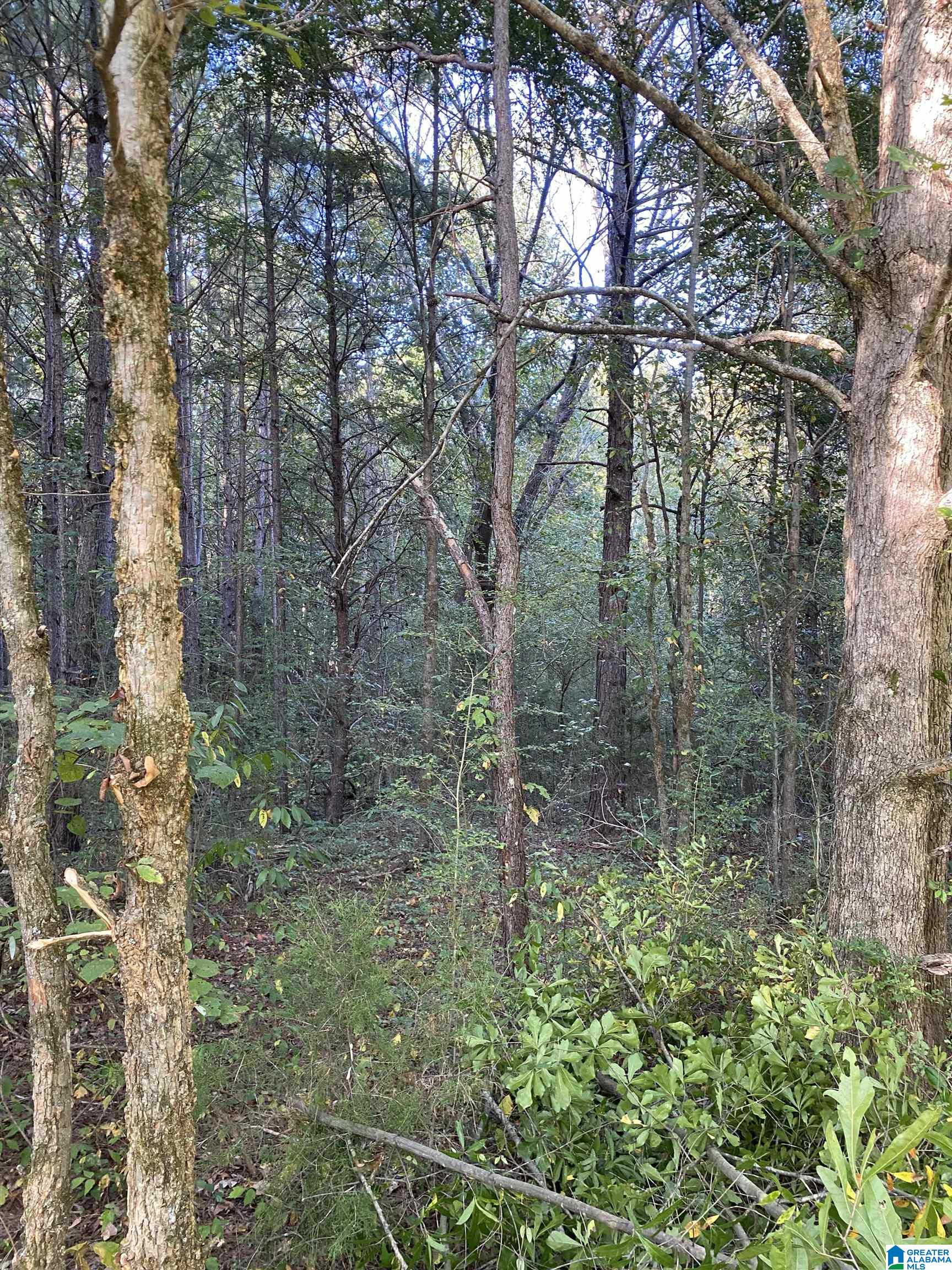 Lincoln Road, Unit 6 0 Cleveland, AL 35049 - Photo 11 of 12
