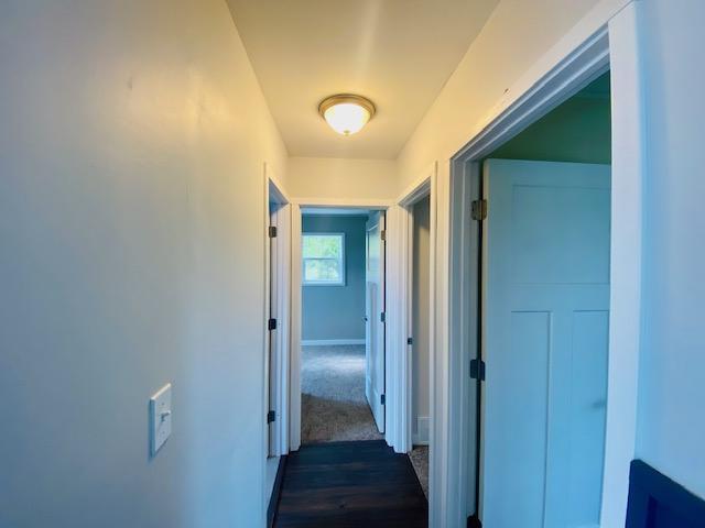 9837 Homestead Road Benzonia, MI 49616 - Photo 20 of 33 IMG_6494